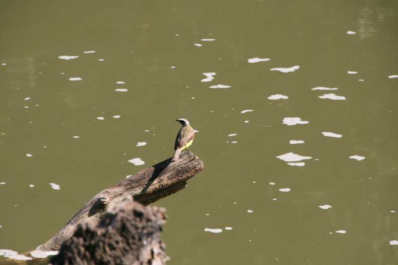 Mexico & Guatemala 2010 - 1181